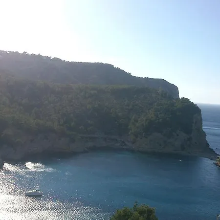 Panorama *